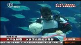 世界杯-14年-水中足球赛！水族馆也踢起世界杯-新闻