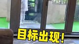 别怪我没有给过她机会！岳母大人果然没让我失望！