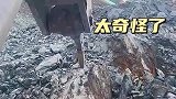 石头居然冒火，太奇怪了