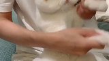 糖宝弟弟也来画虫虫了