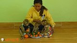 主人端来一盘橘子，猴子们有口福了，你看它们会互相分享吗