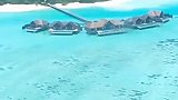 开始期待今年的夏天了吗