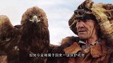生活在4000米悬崖上的金雕，科学家如何研究趁大的不在偷小的
