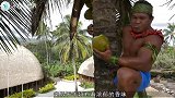 世界上最“不正经”的树，明明是椰树却产大米，每年养活数百万人