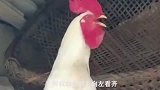 不要抢，这花肯定是我的，我都单身三十年了，可怜一下我