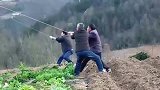 这就是山里人的砍树方法，或许电锯这个东西，他们还没用过