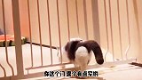 重庆方言配音：耶表妹，一个人在家里呀
