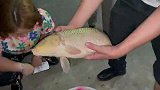 大家一起去威远吃夜宵，五叔说夜钓的鱼味道就是不一样！