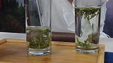 宁德本土茶叶网络线上品鉴推介平台首发亮相！