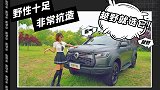 野性十足，非常抗造的越野炮你会选它吗？