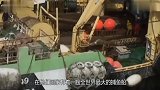 世界上最大的捕鱼船，只要出海捕上一次鱼，一生都吃不完