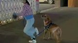 女子把狗狗当跳绳工具，狗狗四处张望后起身踹主人一脚