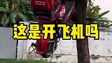 要不是自己亲眼所见，我都不相信能把电动车骑到树上
