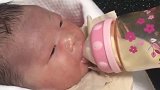 刚出生的小宝宝在喝奶，接下来的表情好萌，简直太可爱了！