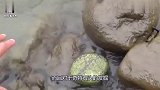小伙子河边寻宝，发现了很多漂亮石头，这款绿色的最亮眼