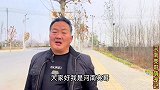 开封狗市亮哥全方位拍摄，帮粉丝淘狗刻不容缓，从早起忙到天黑