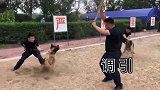 警犬训练，超燃！