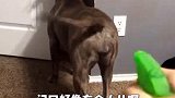 防御加强了，敌人也就不敢猖狂了