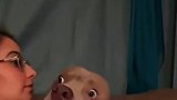 已经开始怀疑主人的物种了
