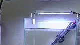 男子给鱼缸弄加热棒，却发现一直冒烟