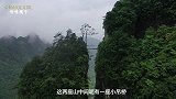 实拍贵州最险夺命桥，网友：给我1000万我都不敢过