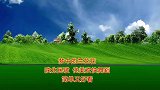 陕北民歌广场舞《梦中的兰花花》黄土情歌，歌醉舞又美