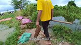大叔河边散步，捕获大量贝塔鱼，制作精美水族馆