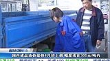 国内成品油价最快4月初上调 幅度或在300元吨内-4月1日