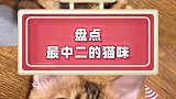 好家伙！自带豹纹的中二猫咪