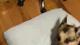 他们陪你长大，再教会你离别