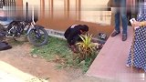 被咬断下巴的流浪狗奄奄一息躺着路边，幸运遇到好心人