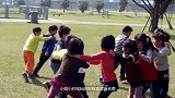 老鹰作死挑战鳄鱼极限，上演“鹰鳄大战”，结局令人心酸