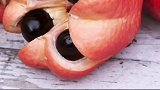 世界上奇异的可怕的水果