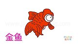 动物简笔画大全，画大眼睛红色金鱼简笔画