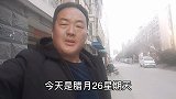 狗市又遇极品拉布拉多，亮哥该出手时就出手，这种狗真的很难遇