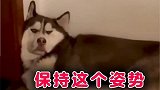 这落枕有点厉害啊