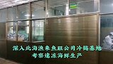 深入北海渔来鱼旺公司冷链基地，考察速冻海鲜生产
