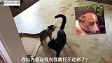 兄弟们冲啊，不要被眼前的阵势吓到，结果有些出乎意料