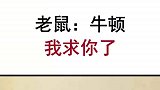 小耗子这是自投罗网吗？