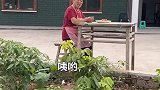 一定要看到最后