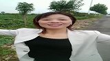 真的累了，哪位哥哥愿意陪我去旅游吗