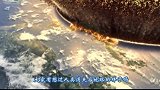 继人类之后，哪种动物最有可能统治地球说出来没人信
