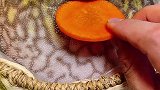 创作源于生活！胖麒麟你觉得呢