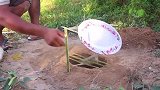 男子用碟子制作的圈套，成功套路了一只小鸟