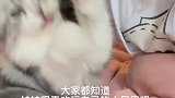 姨姨你带我走吧！妈妈不给我玩小尾巴！