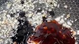 生菜这样做太好吃了