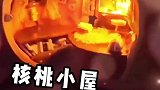 核桃小屋，这也太治愈了