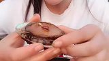吃鲍鱼海鲜玩
