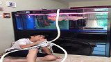 小哥能买得起这么贵的鱼缸，买不起增氧泵？