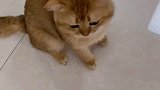 总是猝不及防～接踵而至……